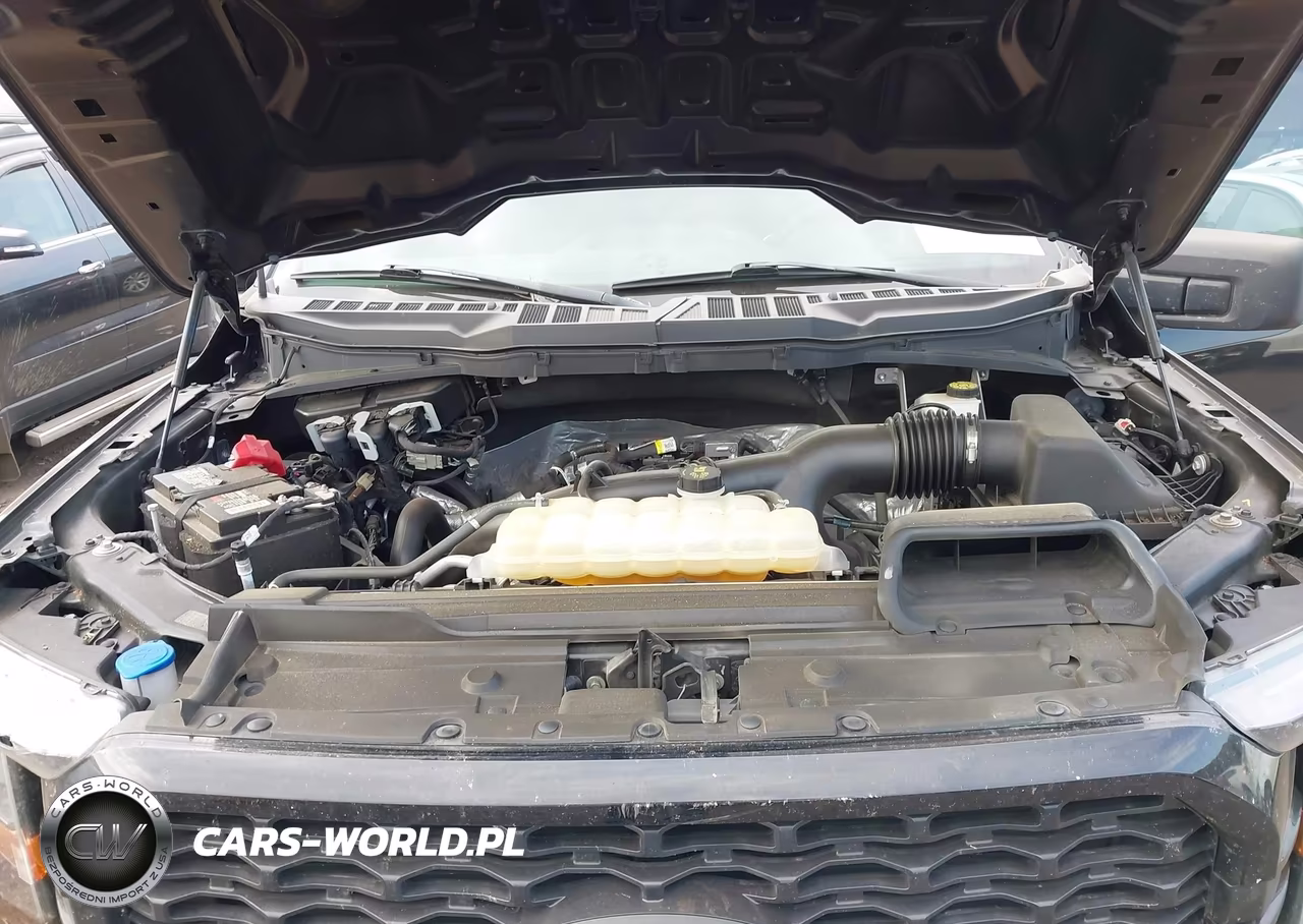 2023 Ford F-150 Xl VIN:1FTEW1CP1PKE22196 - 10