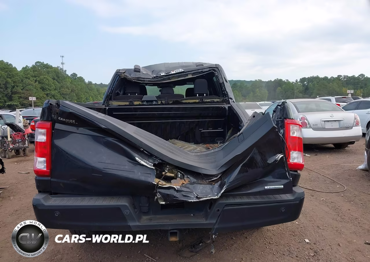 2023 Ford F-150 Xl VIN:1FTEW1CP1PKE22196 - 6