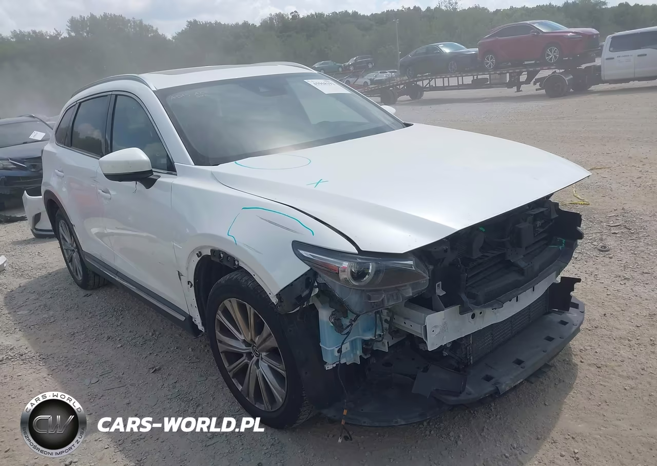 2021 Mazda Cx-9 Signature VIN:JM3TCBEY5M0536843 - 1