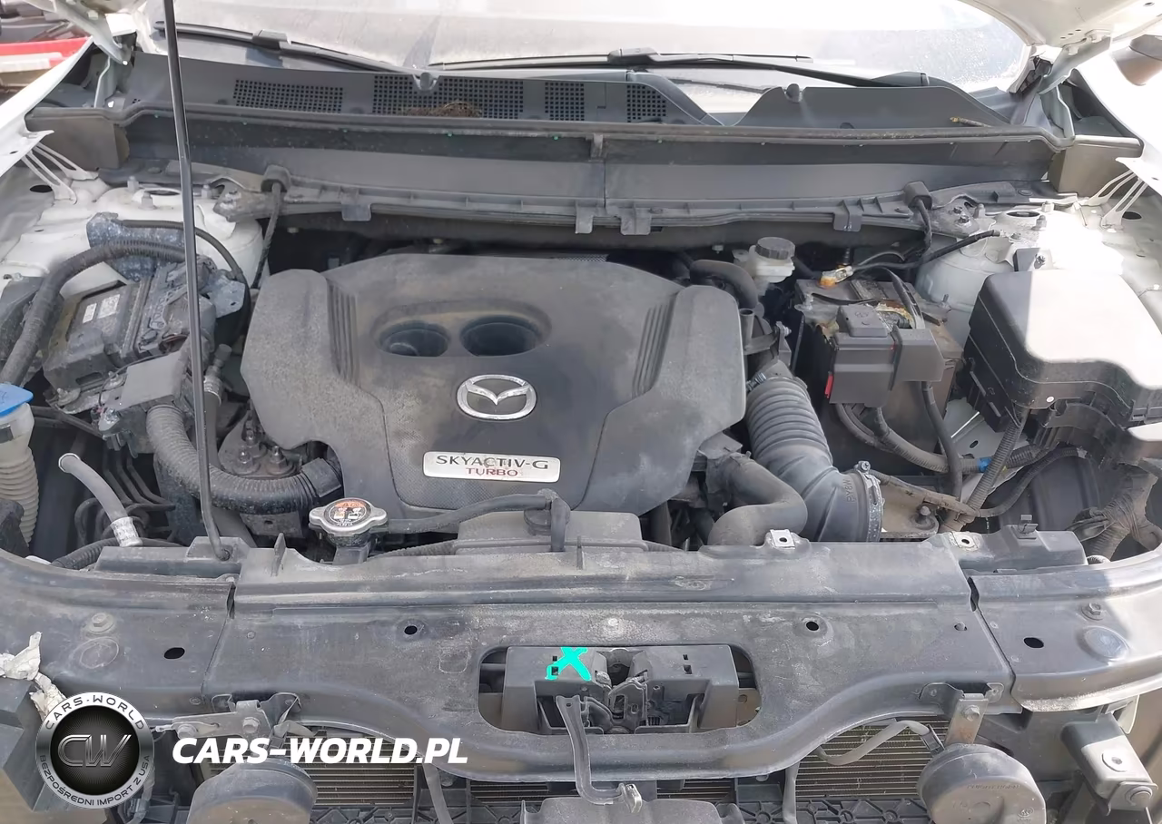 2021 Mazda Cx-9 Signature VIN:JM3TCBEY5M0536843 - 10