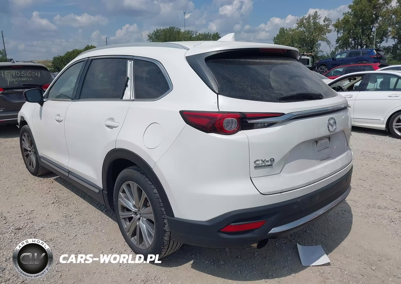 2021 Mazda Cx-9 Signature VIN:JM3TCBEY5M0536843 - 3