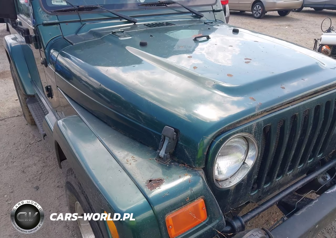 2000 Jeep Wrangler Sahara VIN:1J4FA59S9YP753779 - 14