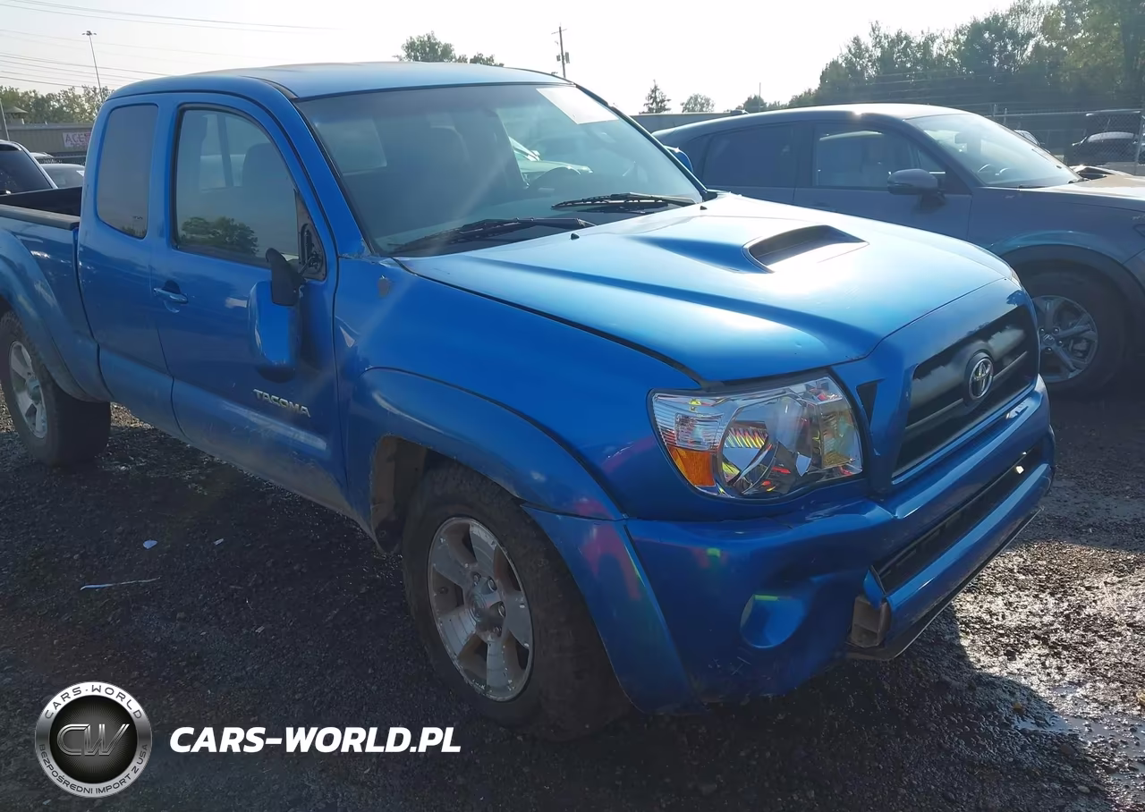 2006 Toyota Tacoma Base V6 VIN:5TEUU42N96Z225838 - 6