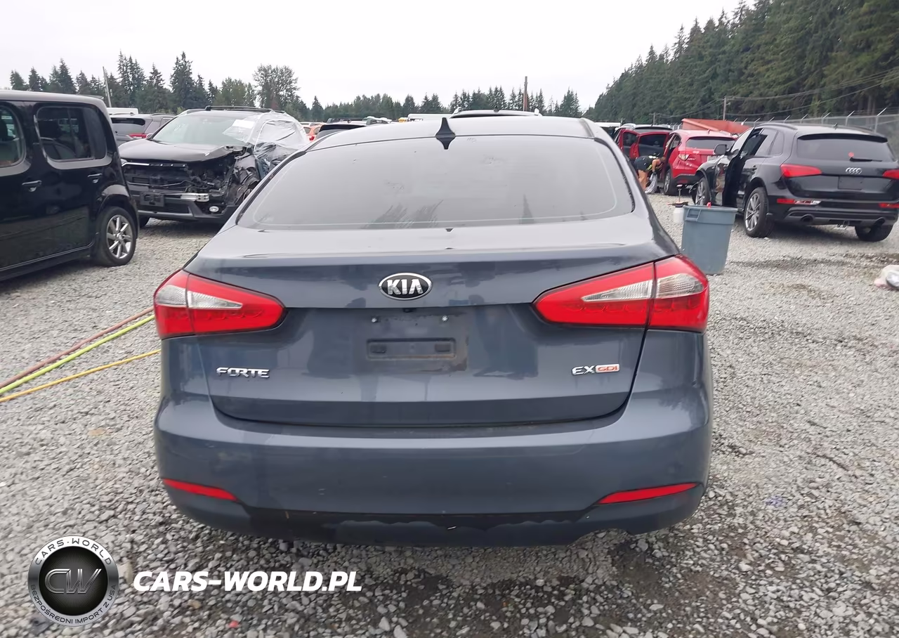2014 Kia Forte Ex VIN:KNAFZ4A81E5091766 - 17