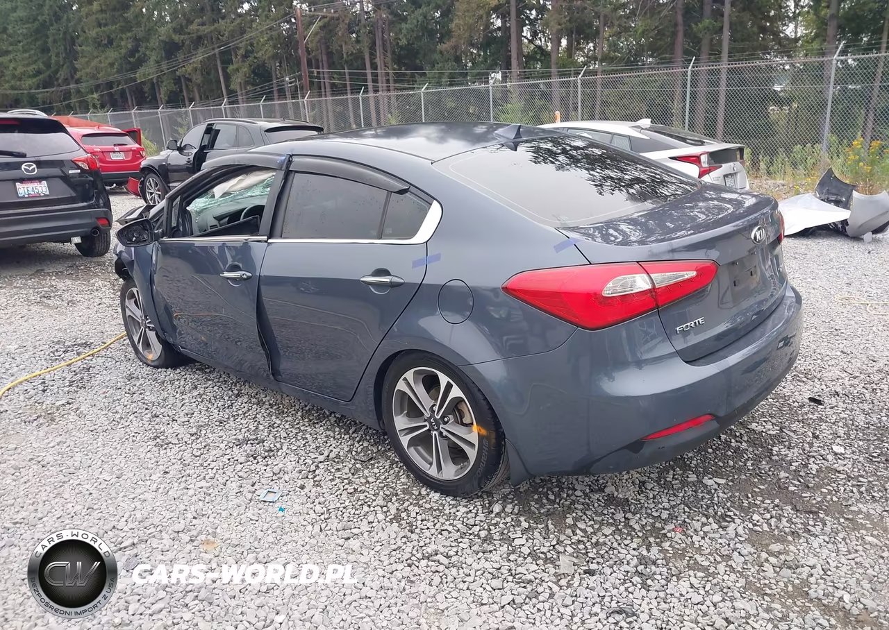 2014 Kia Forte Ex VIN:KNAFZ4A81E5091766 - 3