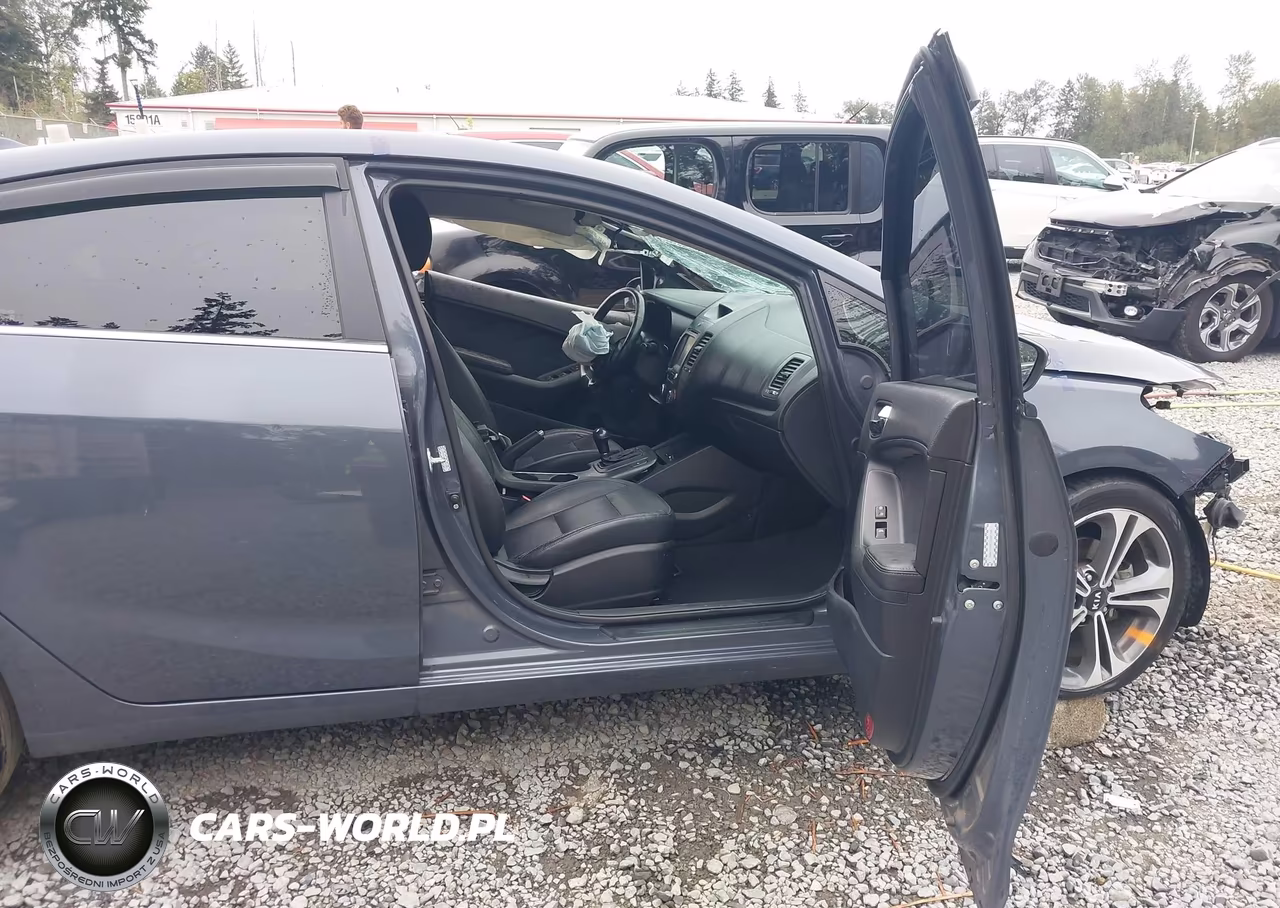 2014 Kia Forte Ex VIN:KNAFZ4A81E5091766 - 5