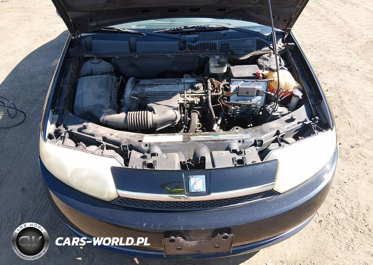 2004 Saturn Ion 2 VIN:1G8AJ52F84Z143077 - 10