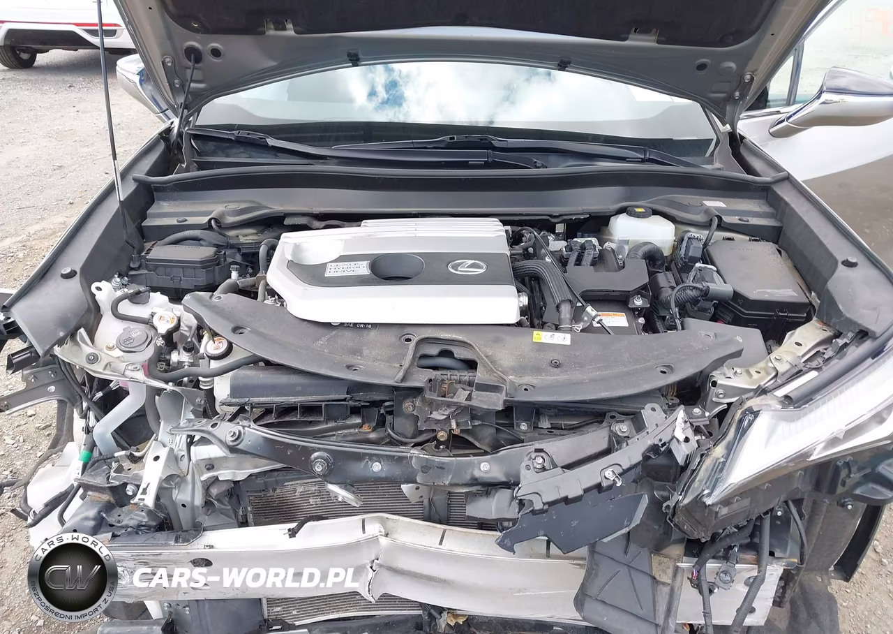 2020 Lexus Ux 250H VIN:JTHP9JBH2L2021811 - 10