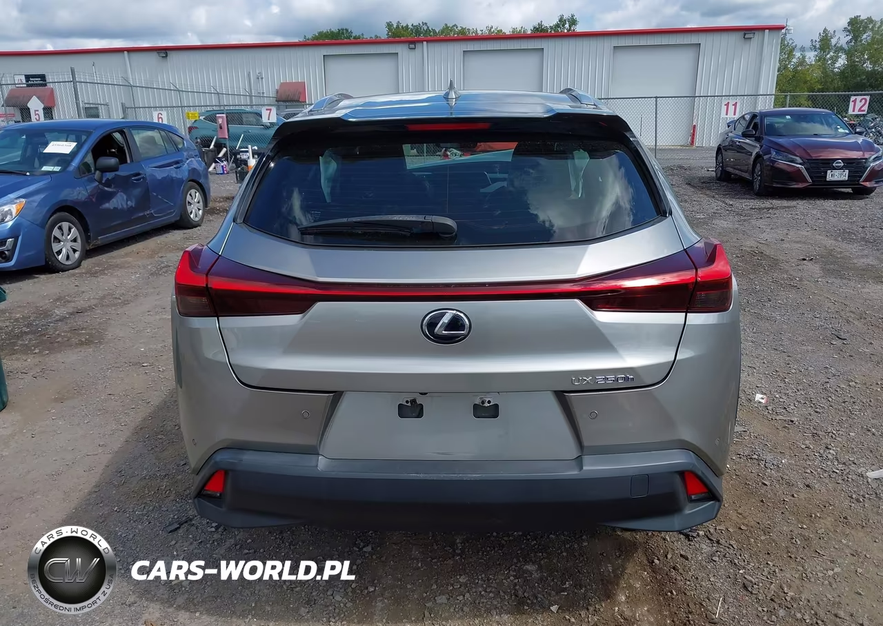 2020 Lexus Ux 250H VIN:JTHP9JBH2L2021811 - 16