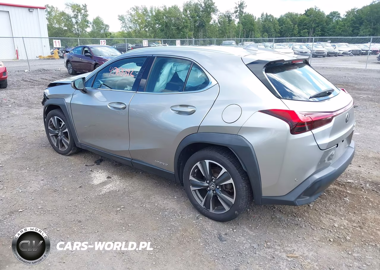 2020 Lexus Ux 250H VIN:JTHP9JBH2L2021811 - 3