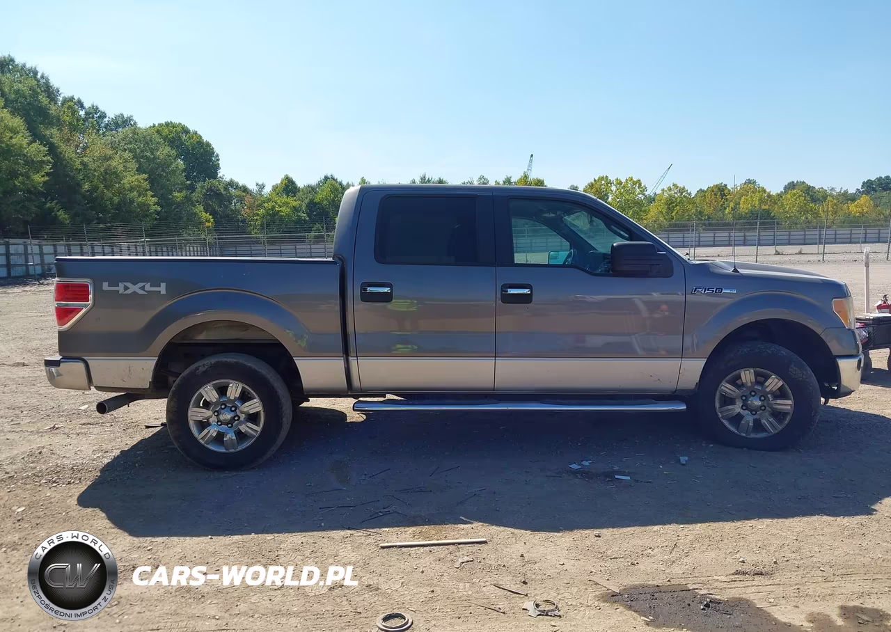 2011 Ford F-150 Xlt VIN:1FTFW1EF0BFA18784 - 13