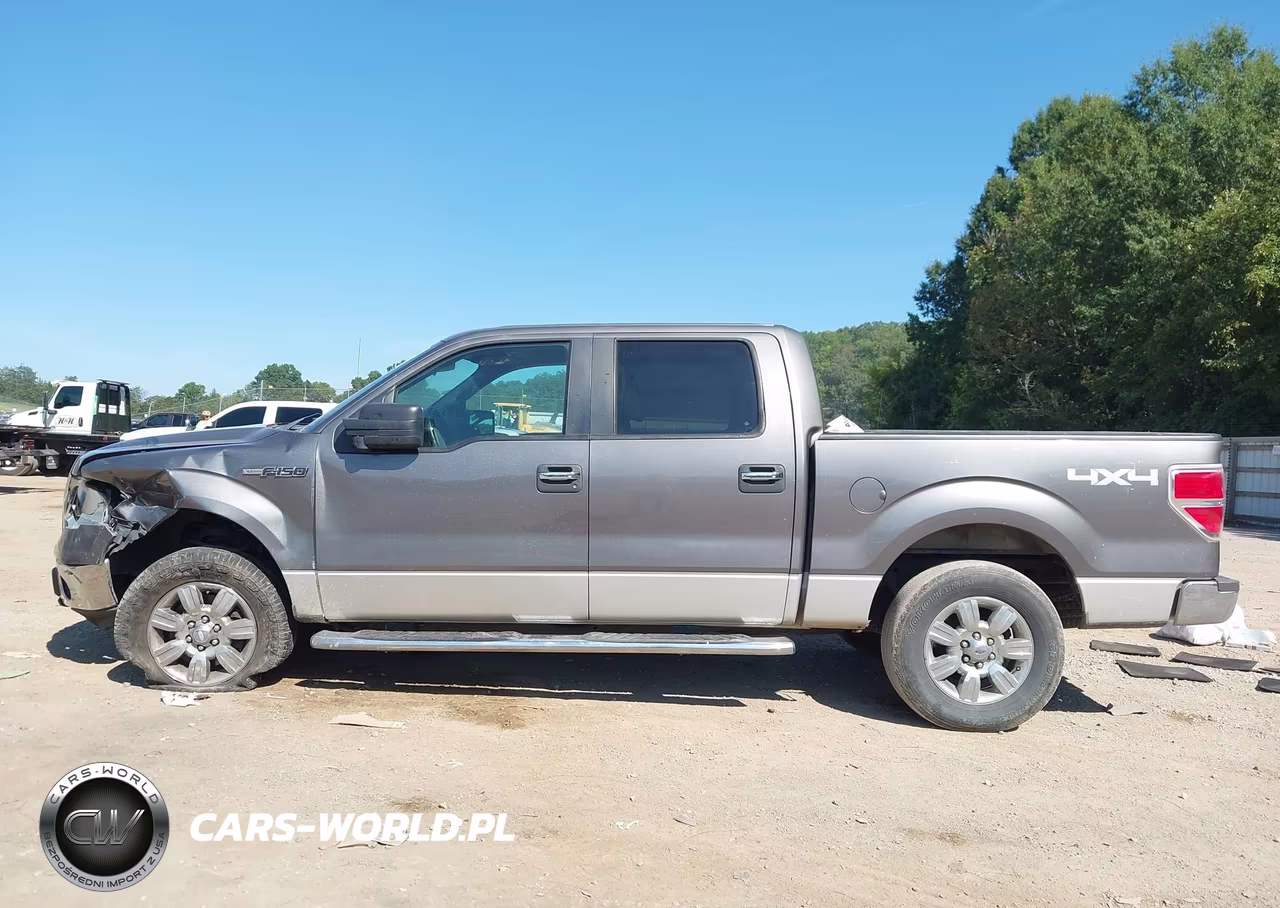 2011 Ford F-150 Xlt VIN:1FTFW1EF0BFA18784 - 14