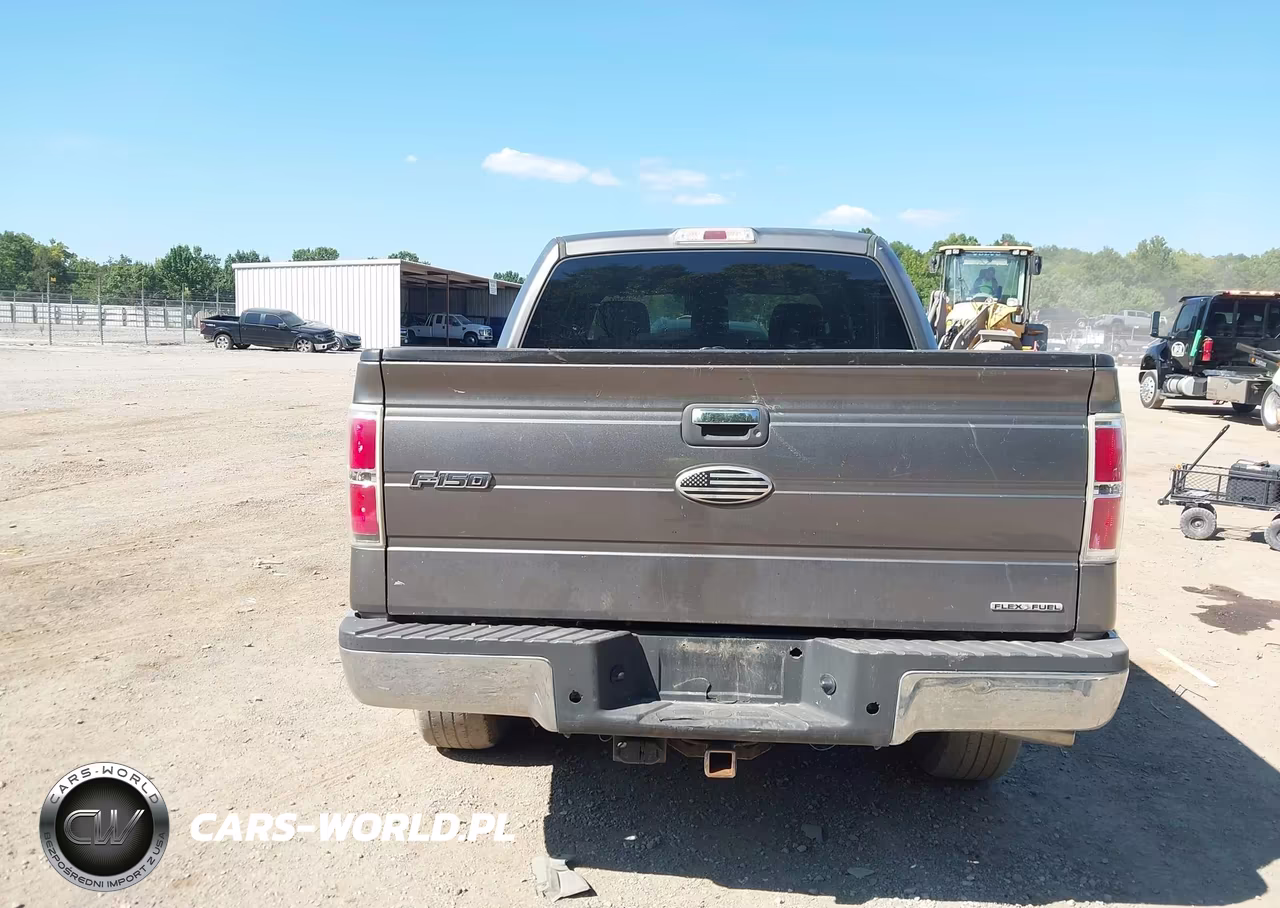 2011 Ford F-150 Xlt VIN:1FTFW1EF0BFA18784 - 16