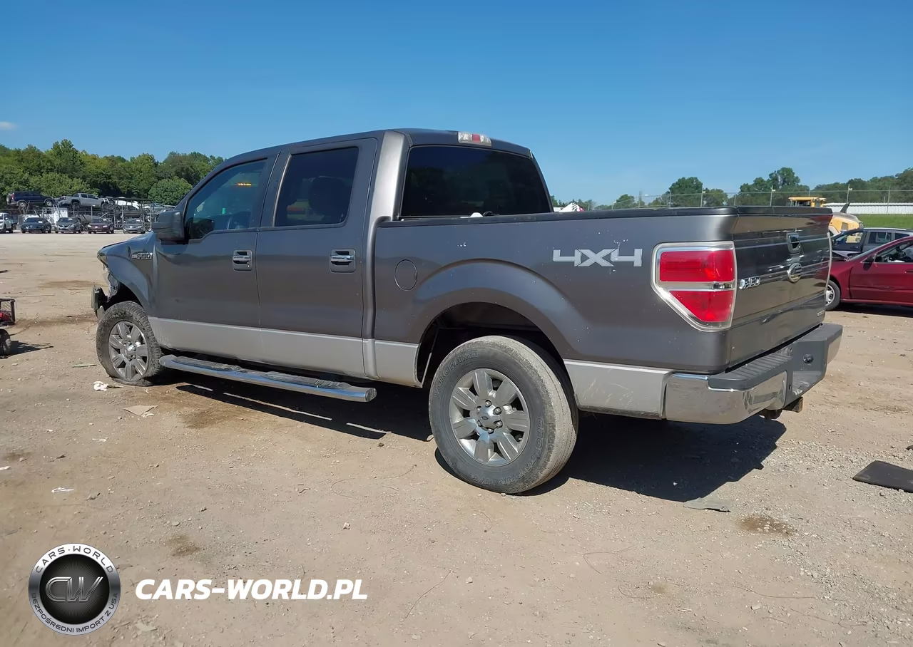 2011 Ford F-150 Xlt VIN:1FTFW1EF0BFA18784 - 3