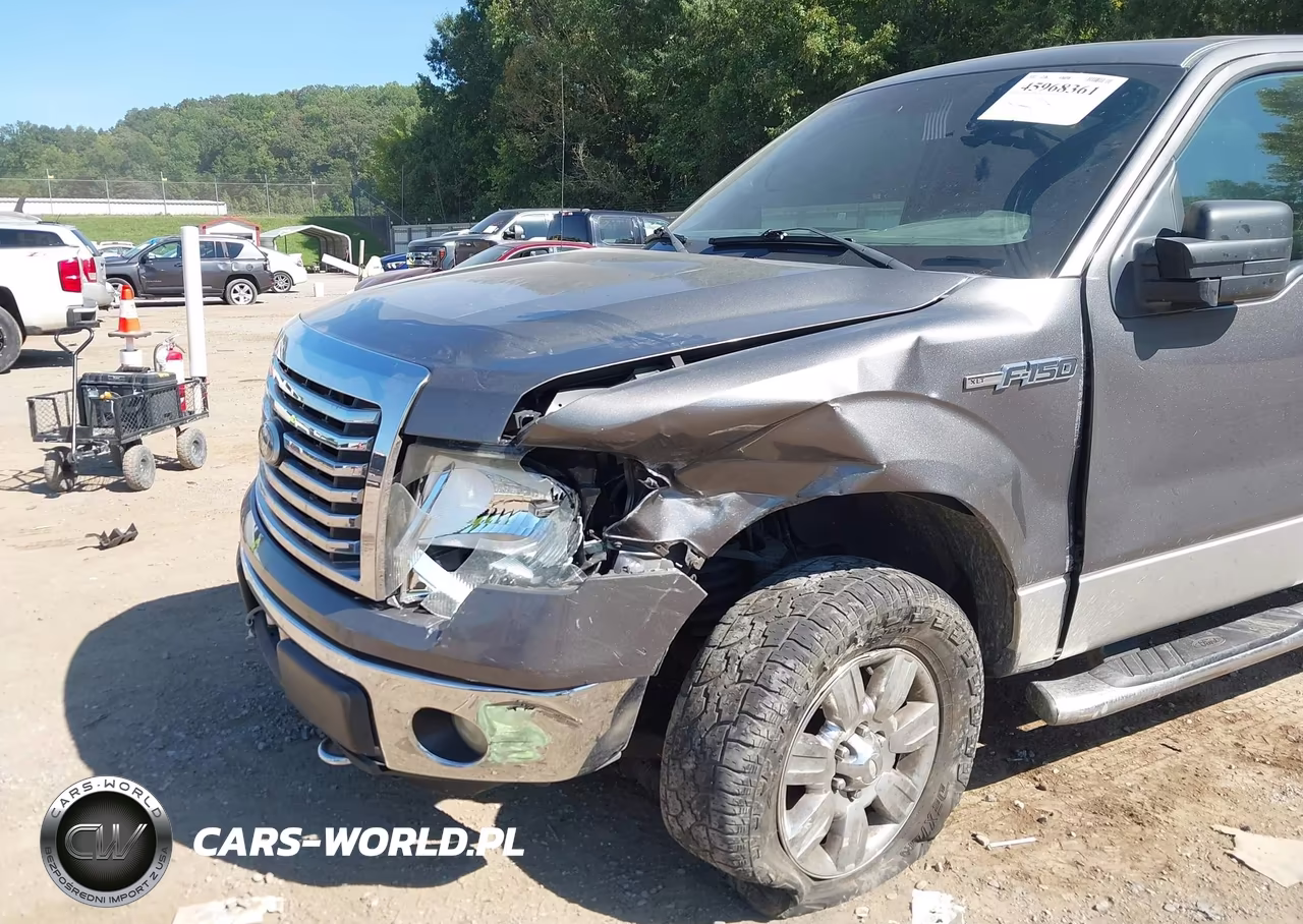 2011 Ford F-150 Xlt VIN:1FTFW1EF0BFA18784 - 6