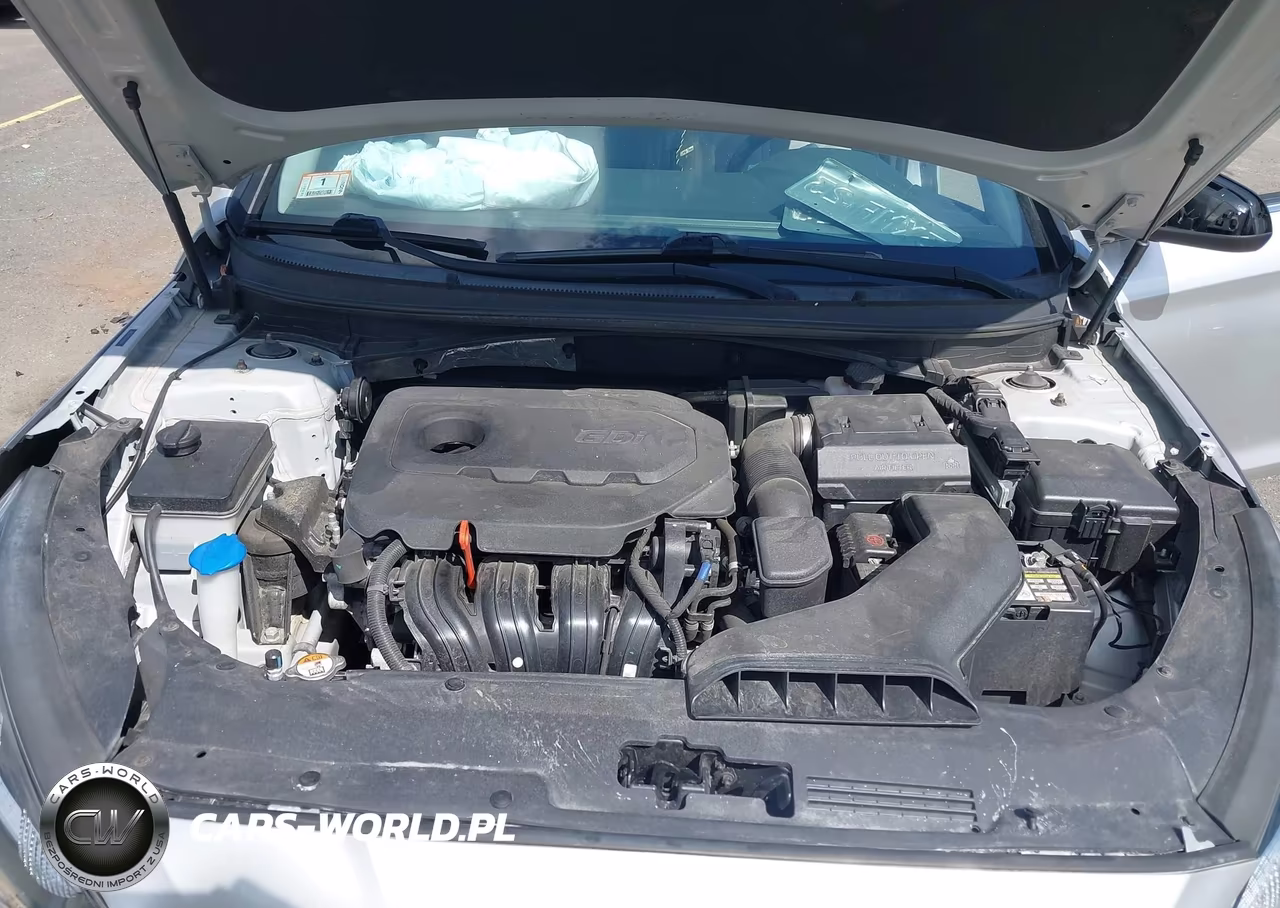 2019 Hyundai Sonata Se VIN:5NPE24AF6KH738241 - 10