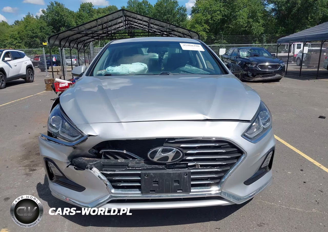 2019 Hyundai Sonata Se VIN:5NPE24AF6KH738241 - 12