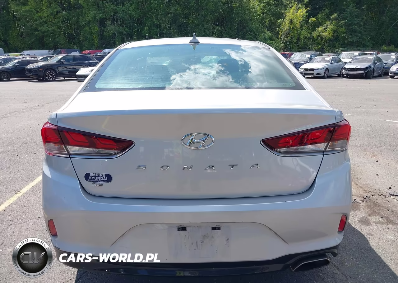 2019 Hyundai Sonata Se VIN:5NPE24AF6KH738241 - 16
