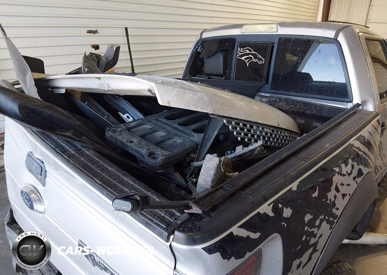 2011 Ford F-150 Svt Raptor VIN:1FTFW1R60BFB17115 - 11