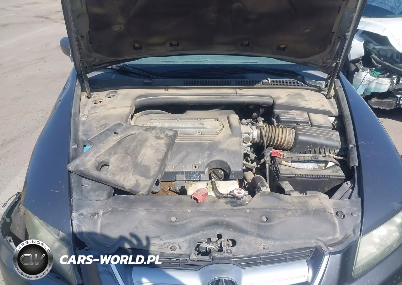 2006 Acura Tl VIN:19UUA662X6A021260 - 10