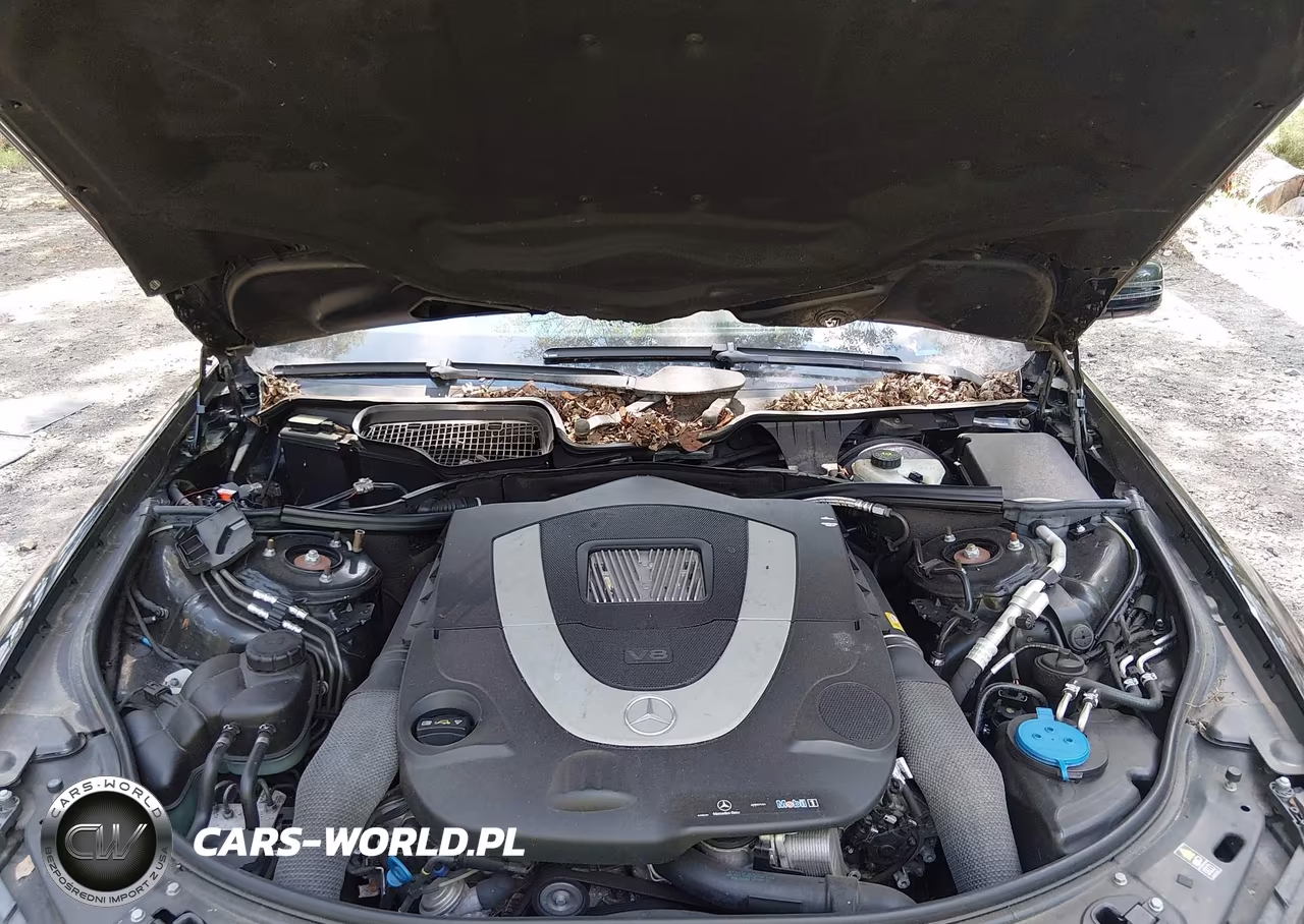 2011 Mercedes-Benz S 550 VIN:WDDNG7BB3BA382326 - 10