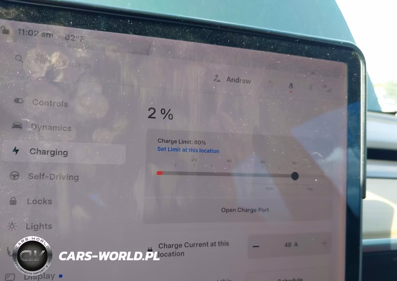 2020 Tesla Model 3 Performance Dual Motor All-Wheel Drive VIN:5YJ3E1EC2LF602993 - 17