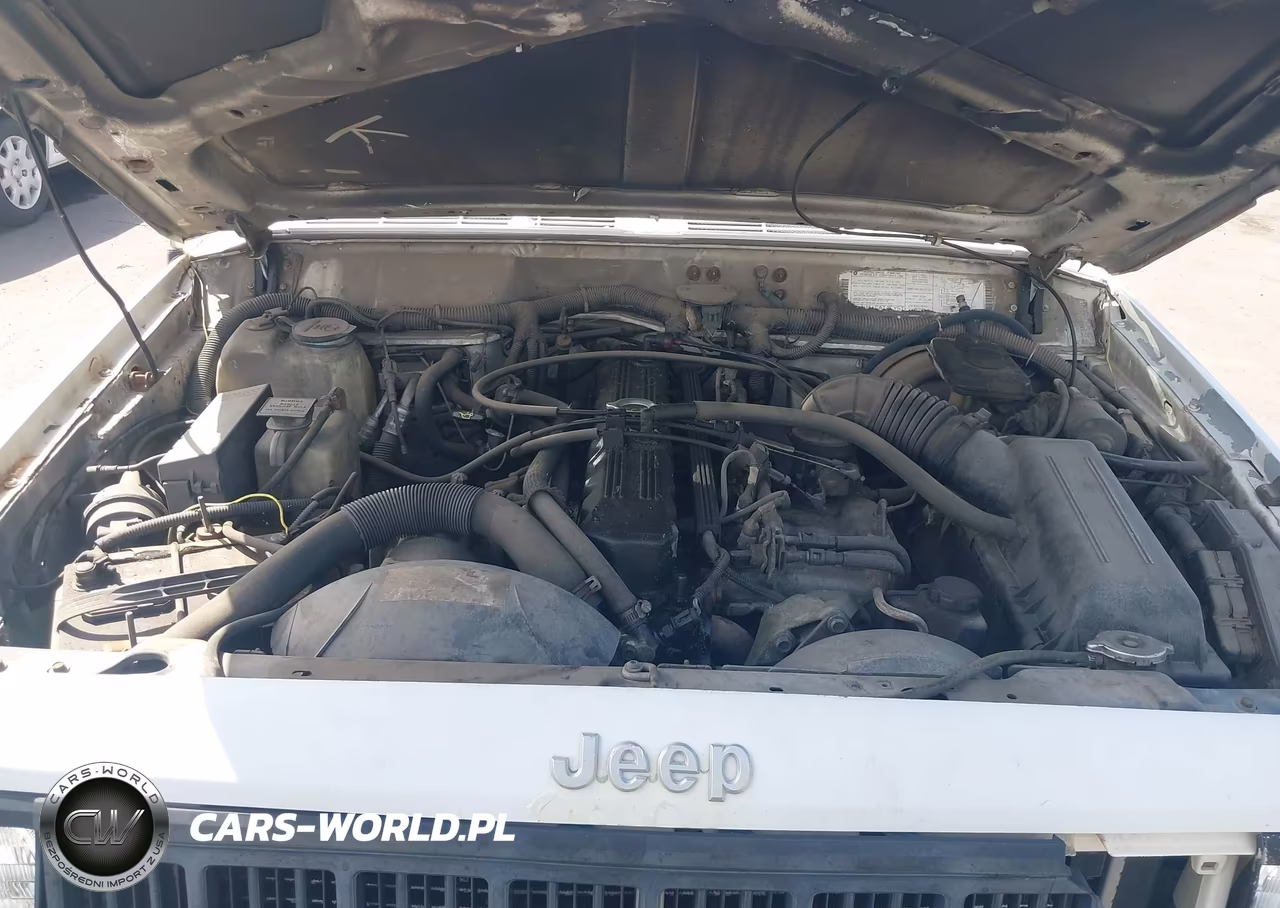 1994 Jeep Cherokee Sport VIN:1J4FJ68S0RL248335 - 10