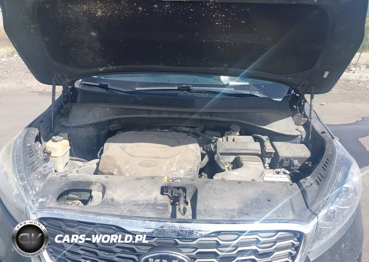 2019 Kia Sorento 3.3L Ex VIN:5XYPHDA59KG553459 - 10
