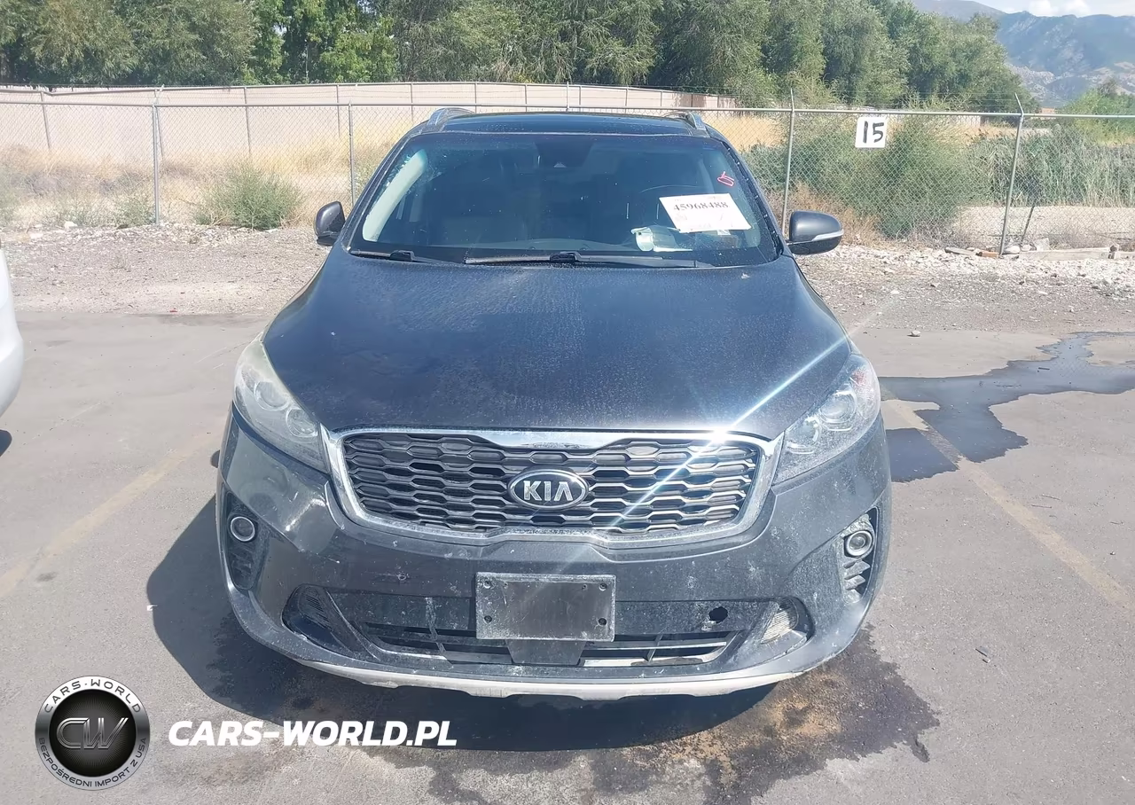 2019 Kia Sorento 3.3L Ex VIN:5XYPHDA59KG553459 - 12