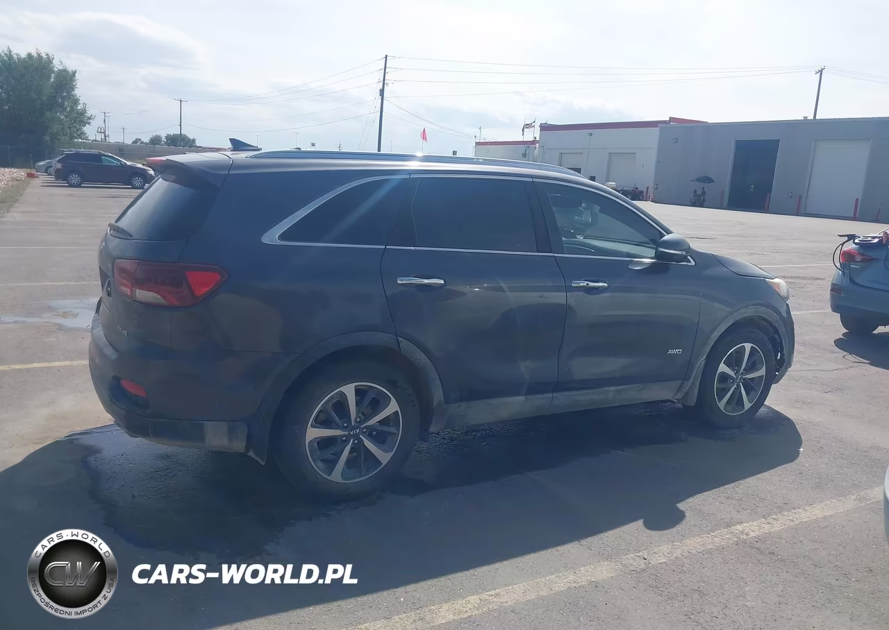 2019 Kia Sorento 3.3L Ex VIN:5XYPHDA59KG553459 - 13