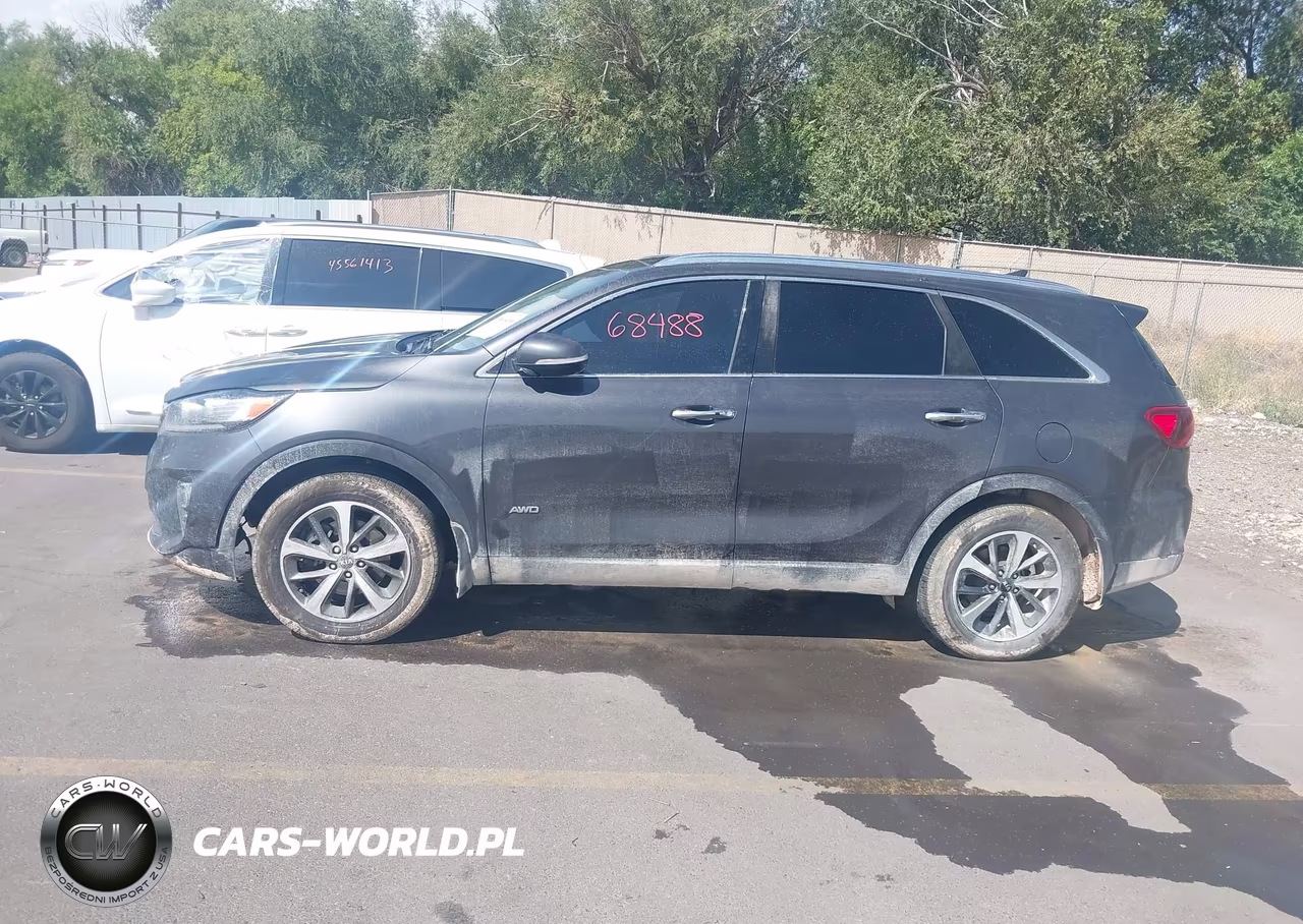 2019 Kia Sorento 3.3L Ex VIN:5XYPHDA59KG553459 - 14