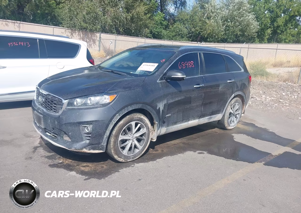 2019 Kia Sorento 3.3L Ex VIN:5XYPHDA59KG553459 - 2