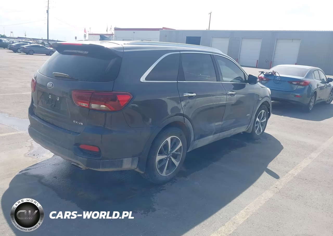 2019 Kia Sorento 3.3L Ex VIN:5XYPHDA59KG553459 - 4