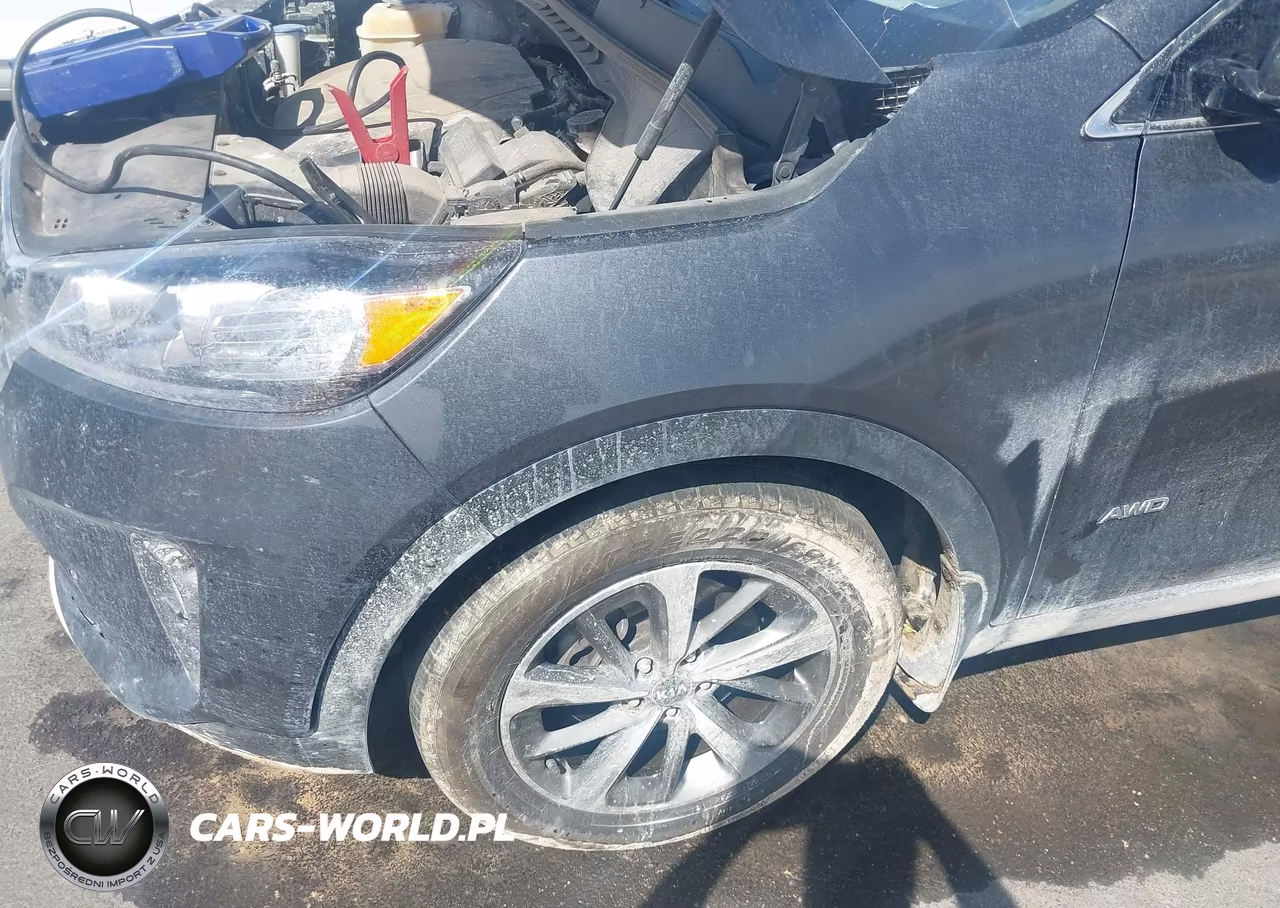2019 Kia Sorento 3.3L Ex VIN:5XYPHDA59KG553459 - 6