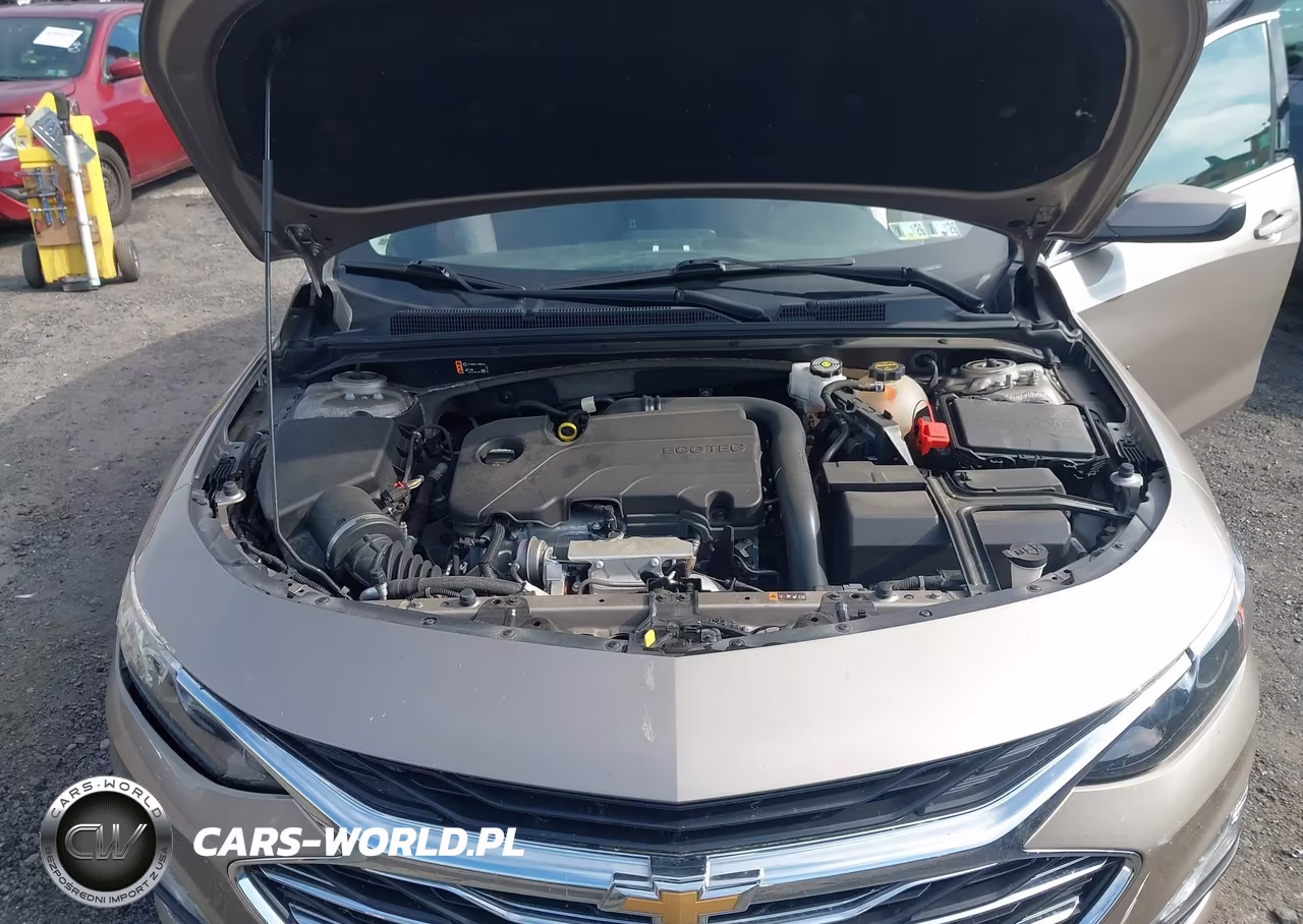 2024 Chevrolet Malibu Fwd 1Lt VIN:1G1ZD5STXRF236285 - 10