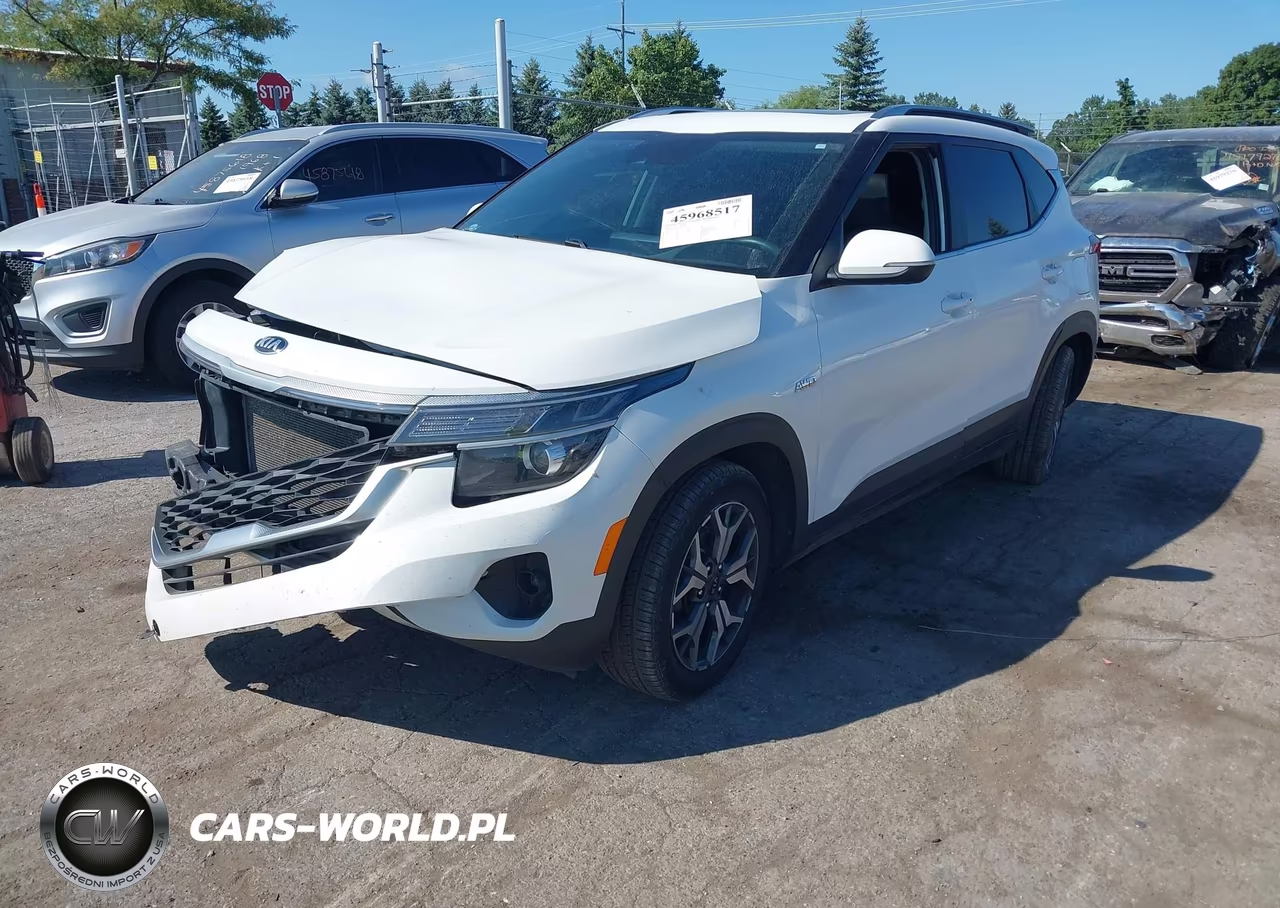 2021 Kia Seltos Ex VIN:KNDERCAA4M7119266 - 2