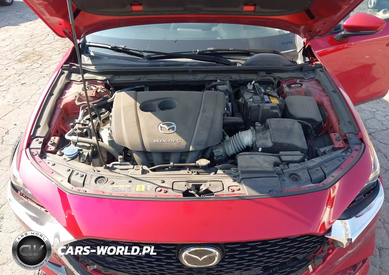 2019 Mazda Mazda3 Preferred Package VIN:JM1BPACL1K1108396 - 10