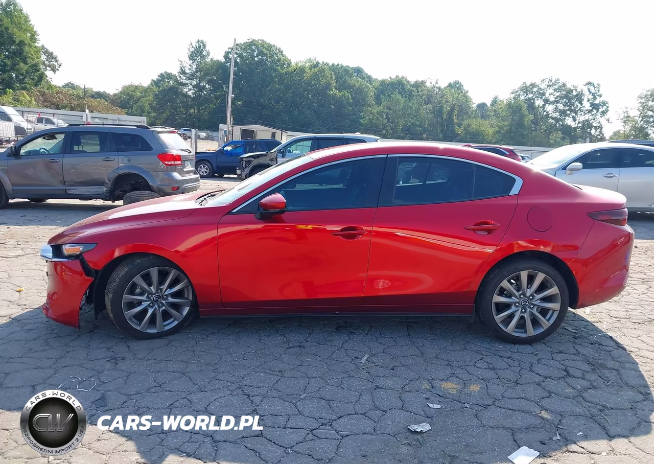 2019 Mazda Mazda3 Preferred Package VIN:JM1BPACL1K1108396 - 13