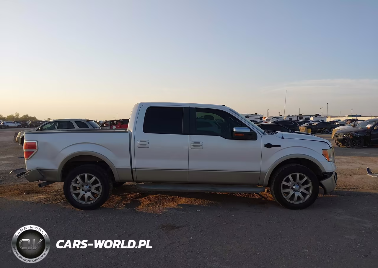2010 Ford F-150 Fx2 Sport-Harley-Davidson-King Ranch-Lariat-Platinum-Xl-Xlt VIN:1FTFW1CV1AKC34904 - 13