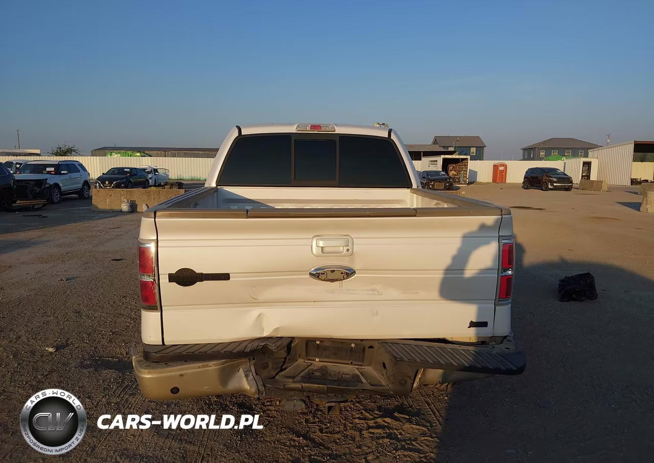 2010 Ford F-150 Fx2 Sport-Harley-Davidson-King Ranch-Lariat-Platinum-Xl-Xlt VIN:1FTFW1CV1AKC34904 - 16