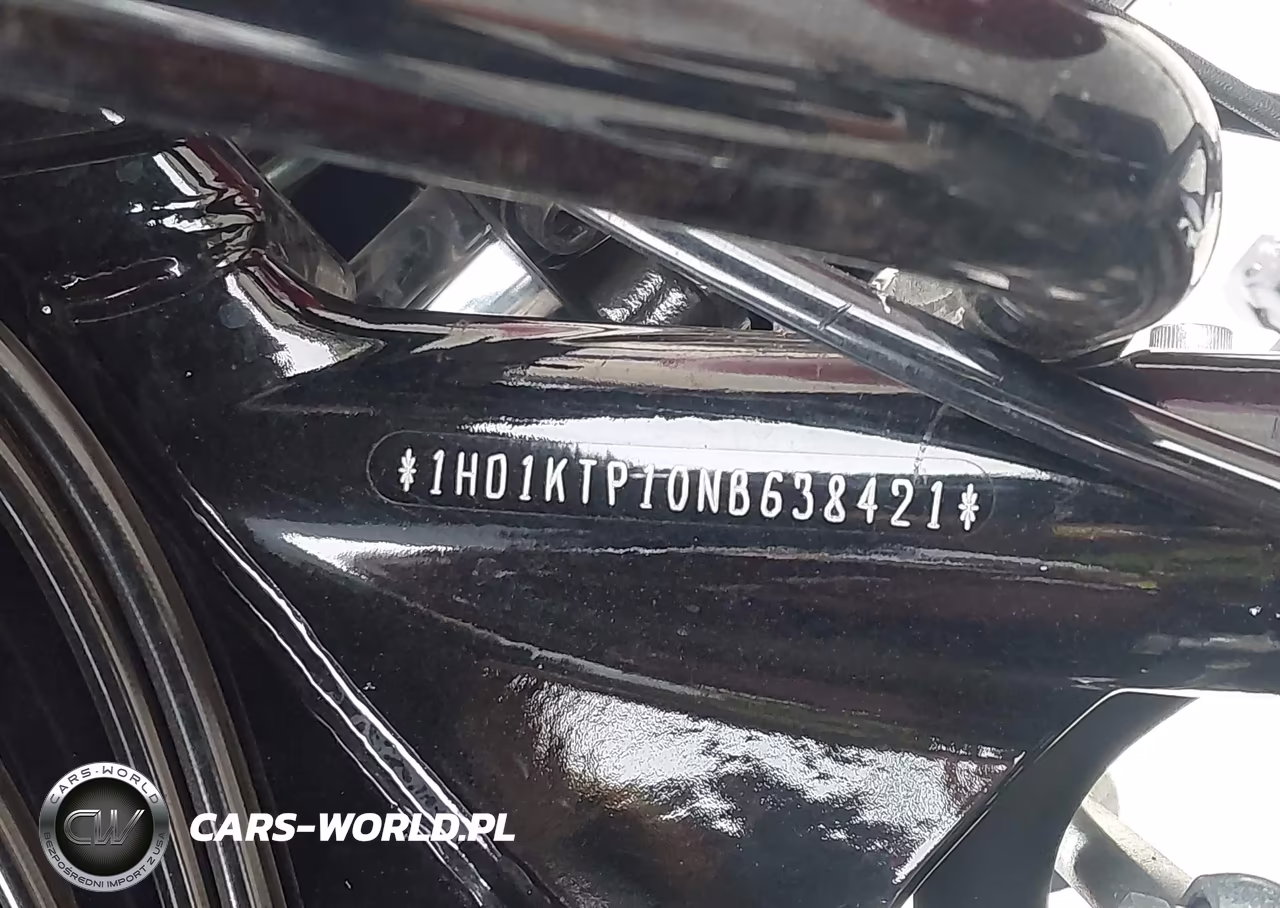 2022 Harley-Davidson Fltrxs VIN:1HD1KTP10NB638421 - 10