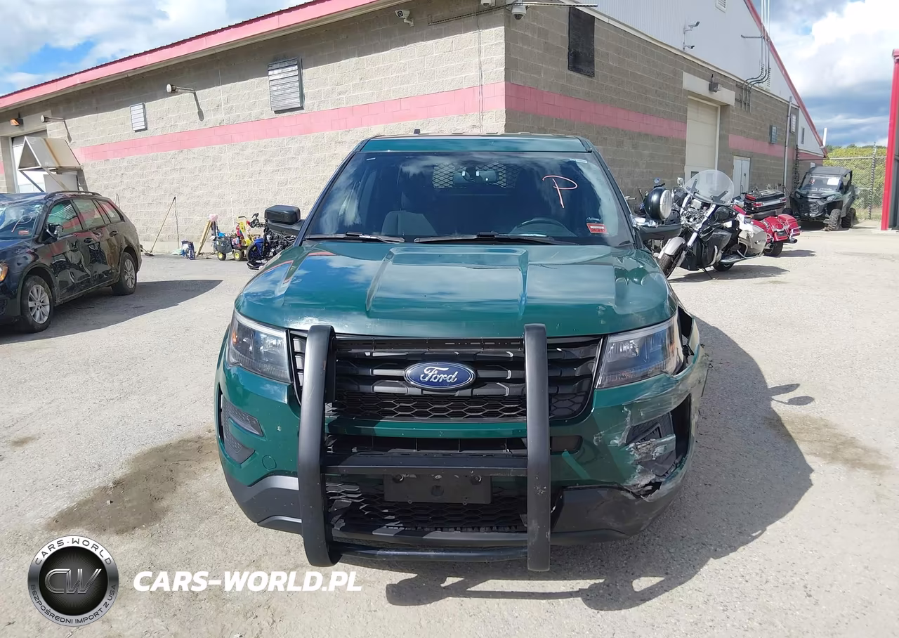 2019 Ford Police Interceptor Utility VIN:1FM5K8AR6KGA94192 - 12