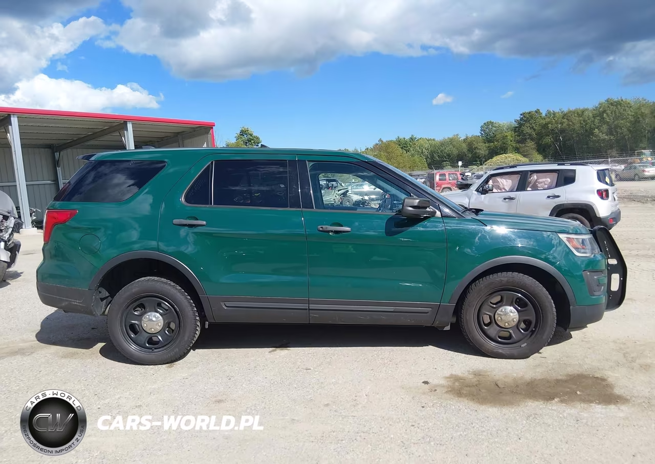2019 Ford Police Interceptor Utility VIN:1FM5K8AR6KGA94192 - 13