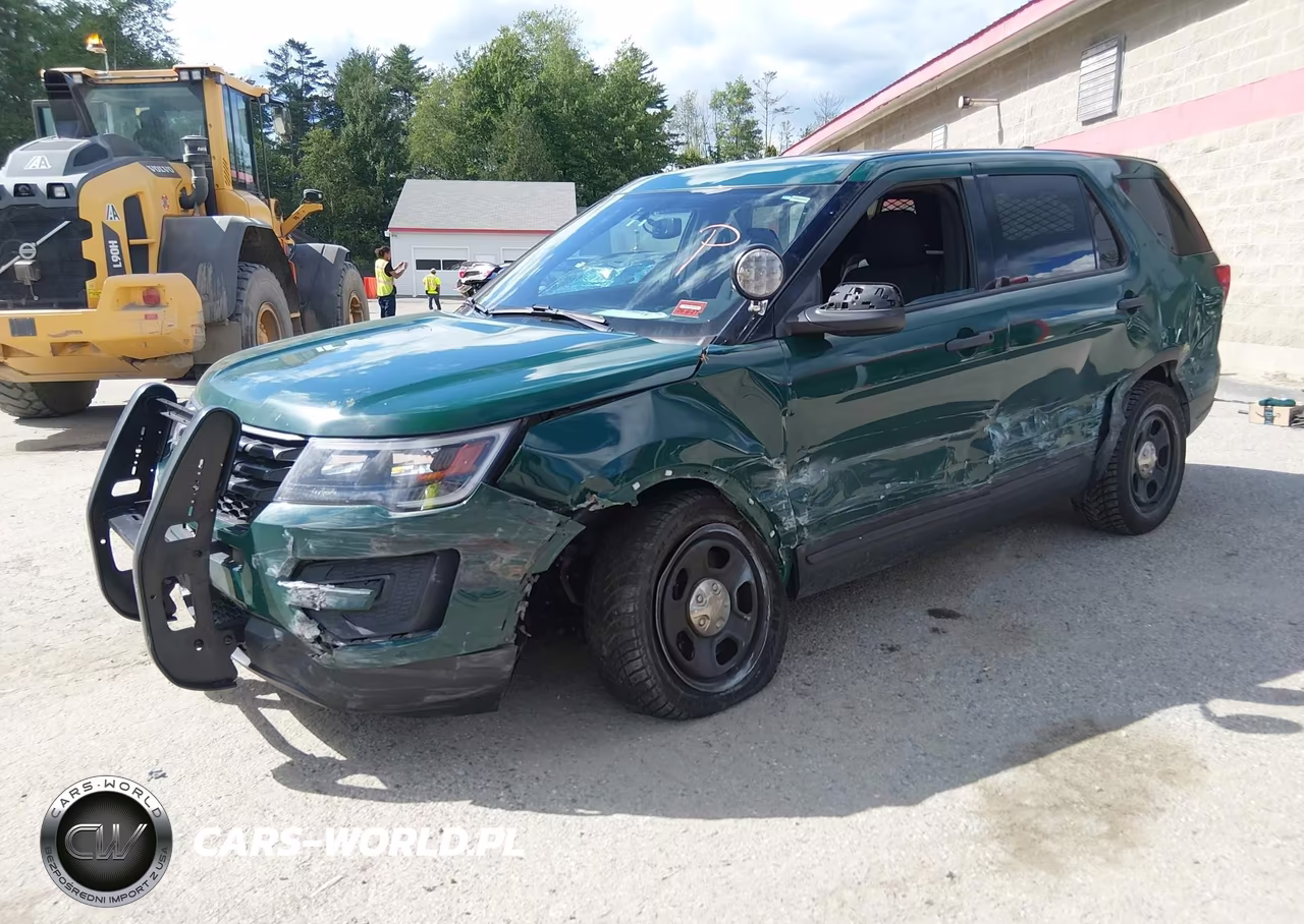 2019 Ford Police Interceptor Utility VIN:1FM5K8AR6KGA94192 - 2