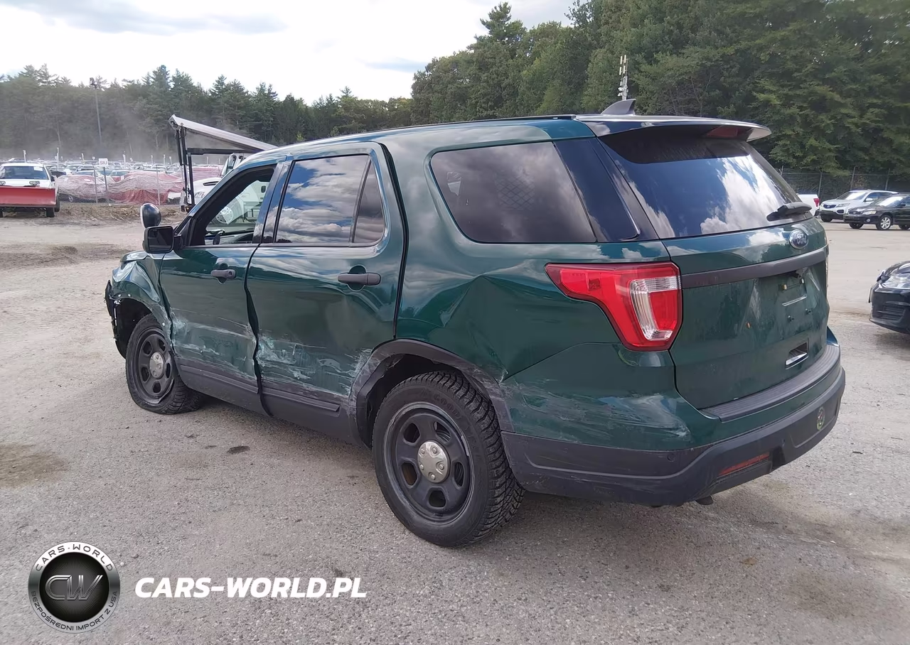 2019 Ford Police Interceptor Utility VIN:1FM5K8AR6KGA94192 - 3