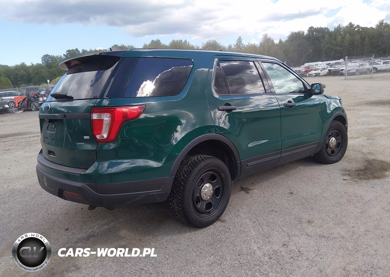 2019 Ford Police Interceptor Utility VIN:1FM5K8AR6KGA94192 - 4
