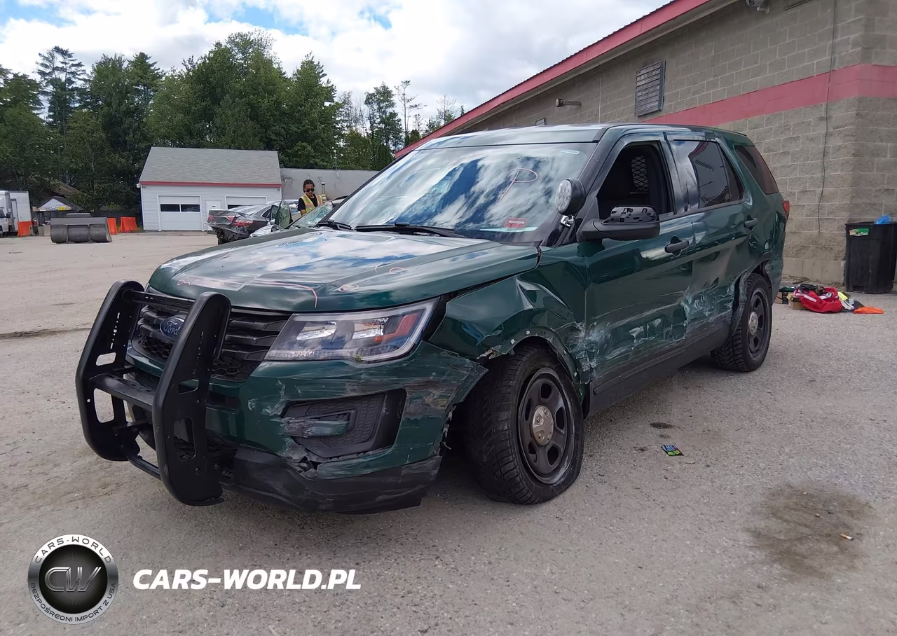 2019 Ford Police Interceptor Utility VIN:1FM5K8AR6KGA94192 - 6