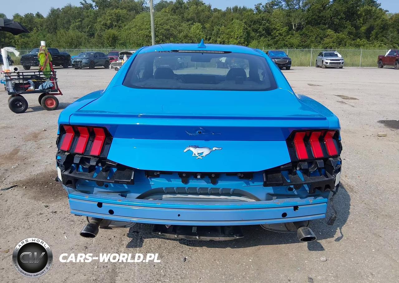 2024 Ford Mustang Ecoboost Premium Fastback VIN:1FA6P8TH9R5125770 - 16
