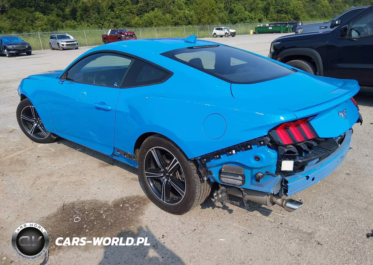 2024 Ford Mustang Ecoboost Premium Fastback VIN:1FA6P8TH9R5125770 - 3