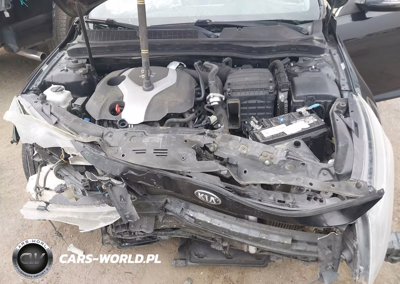 2014 Kia Optima Sxl Turbo VIN:5XXGR4A64EG282454 - 10